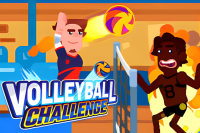Pro Volleyball Showdown