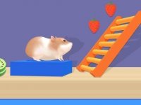 Hamster Maze Puzzle - 3D Casual