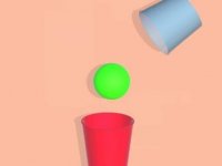 Cup and Bucket Ball Challenge