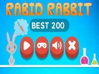 Carrot Dash Rabbit Arcade