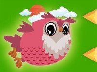 Wise Owl Dodge Arcade