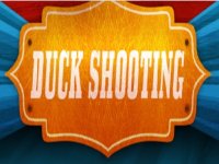 Duck Target Arcade Game