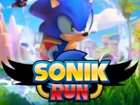 Sonic Dash Multiplayer Adventure