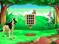 Forest Rabbit Puzzle Adventure
