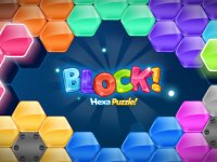 Hexagon Block Puzzle Game