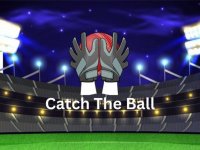 Ball Catch Arcade Challenge