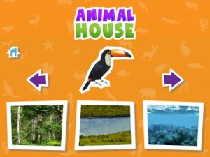 Animal House Puzzle Game - Matching Puzzle