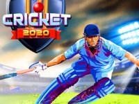 Cricket Batting Challenge Online