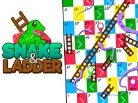 Classic Ladders and Slides Board Game