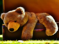 Plush Teddy Bear Puzzle Game