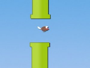 Floppy Fly Online Arcade Game