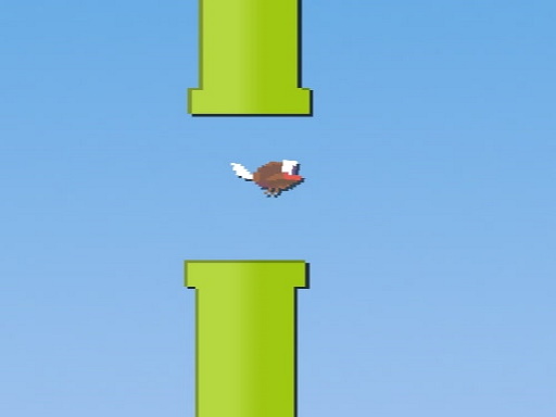 Floppy Fly Online Arcade Game