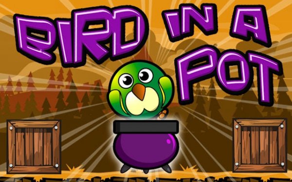 Bird in a Pot: Physics Puzzle