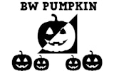 BW Pumpkin: Endless Jumping Arcade Online Game