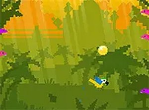 Cube Parrot Wilds