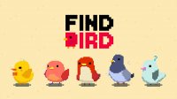 Bird Spot Puzzle Challenge